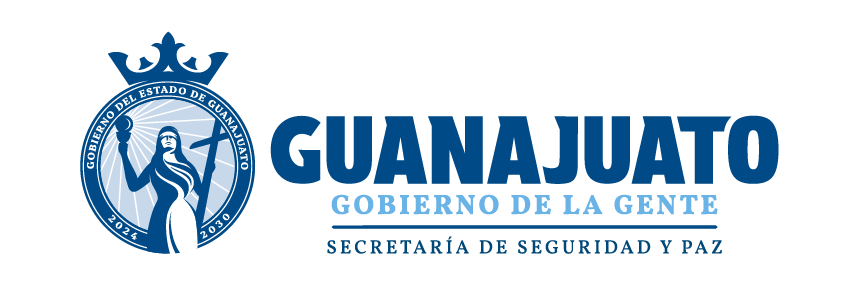 SEGURIDAD